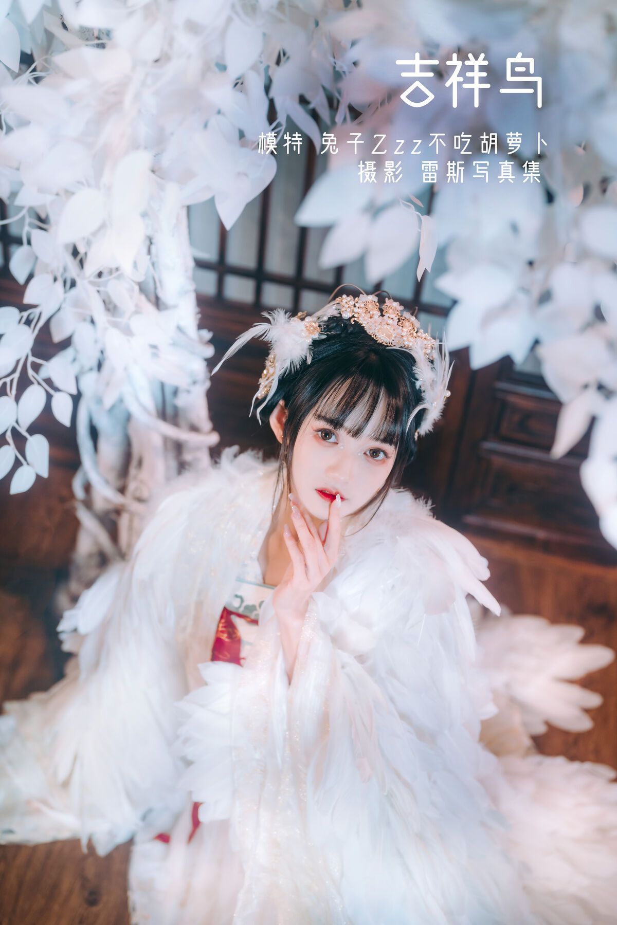 cover.jpg